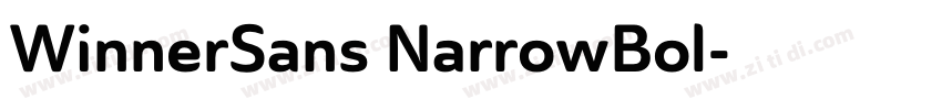 WinnerSans NarrowBol字体转换
